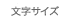 �����T�C�Y