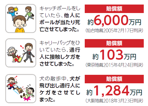 日常生活での損害賠償例：キャッチボール約6000万円、キャリーバッグ約103万円、犬の散歩約1284万円