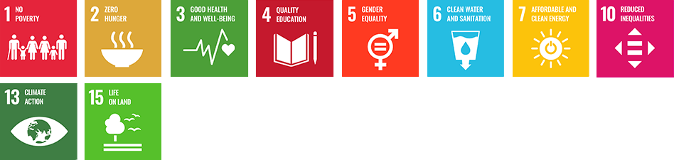 SDGs related to SDG bonds sold in the past 1 2 3 4 5 6 7 10 13 15