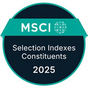 2025 MSCI