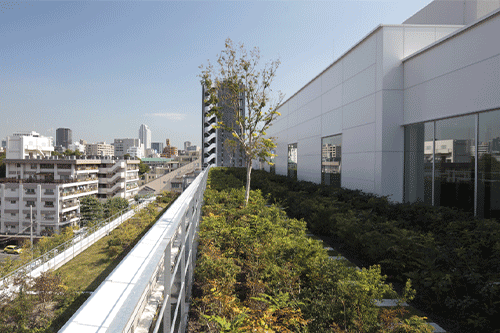 Installation of rooftop garden (Daiwa Azabu Terrace)
