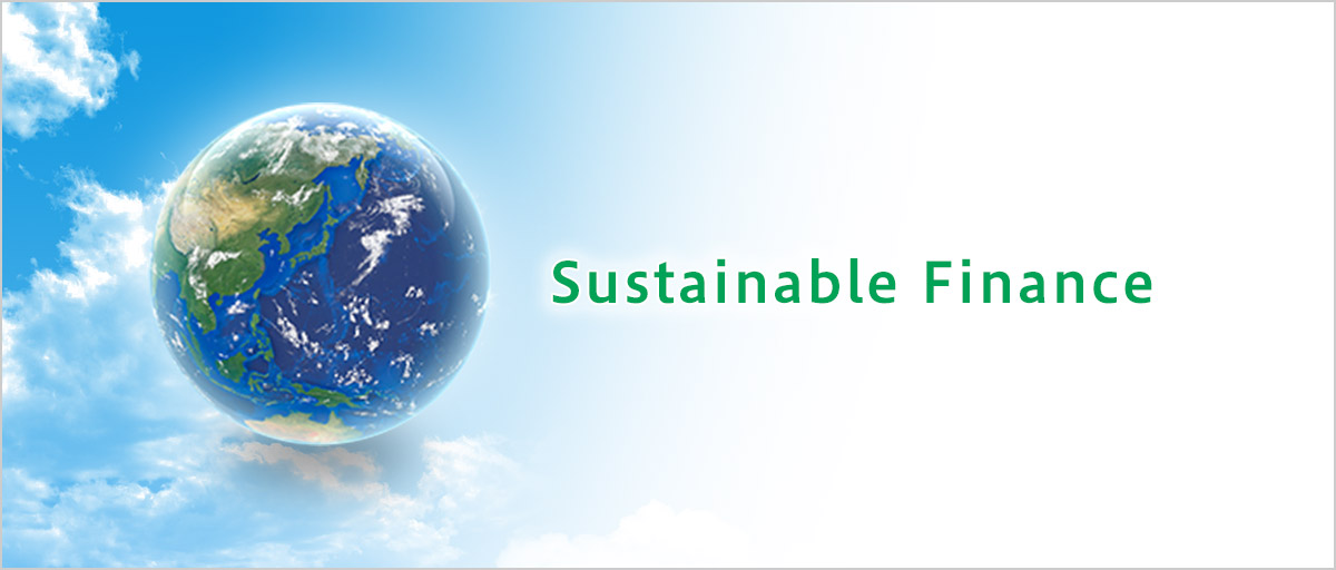 Sustainable Finance