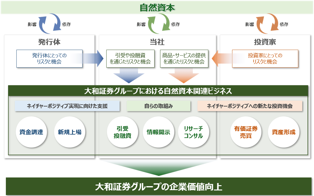 大和証券グループによる自然資本関連ビジネスの概念図。発行体・当社・投資家の関係と、資金調達や投融資、有価証券売買などを通じたネイチャーポジティブ実現の仕組みを示す。