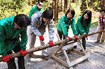 高尾山 森林とふれあい体験